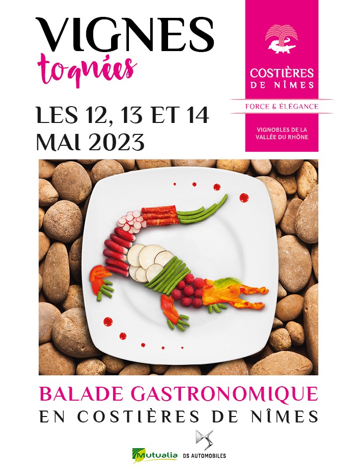 Vignes Toquées